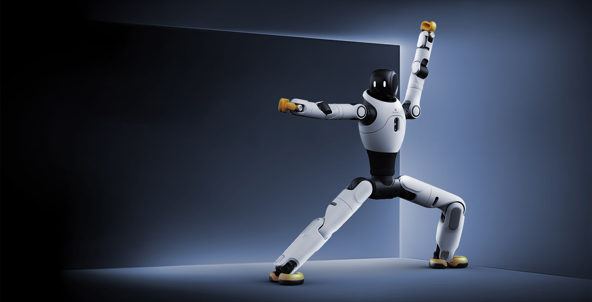 350vip浦京集团灵犀 X2